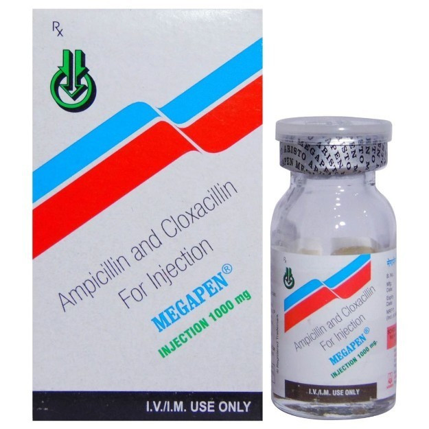 MEGAPEN 1GM VIAL