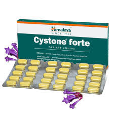 CYSTONE FORTE TAB