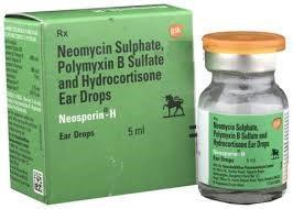 NEOSPORIN-H EAR DROP