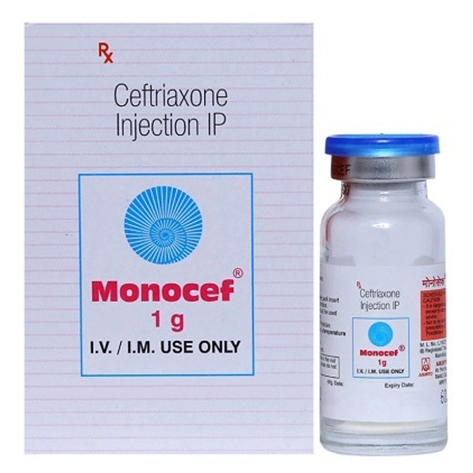 MONOCEF-1GM INJ